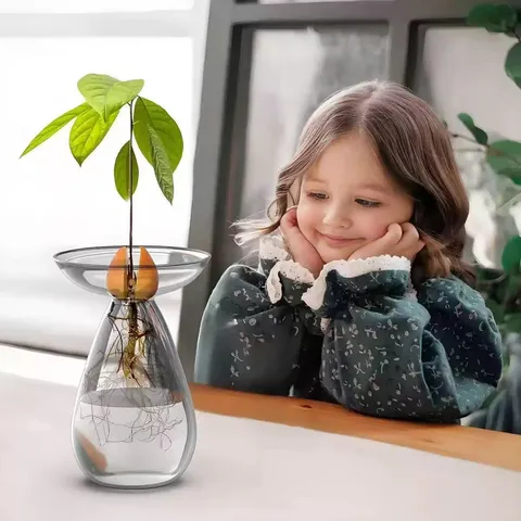 Vaso in vetro trasparente per avocado contenitore per piante idroponiche vaso lungo ovale per germinazione di semi vaso da fiori decorativo per la casa