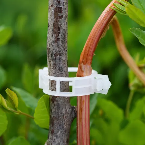 Transparent Plastic Plant Support Clips Vine Fixing Clips For Tomatoes Garden