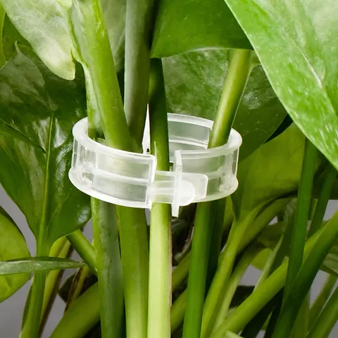 Transparent Plastic Plant Support Clips Vine Fixing Clips For Tomatoes Garden