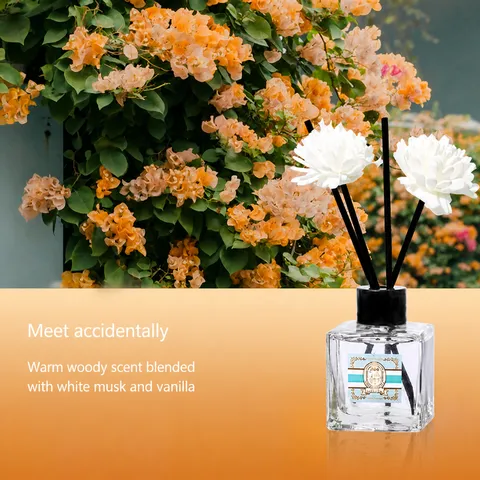 Reed Diffuser Glass Bottle Air Freshening Aromatherapy Deodorizing Home Office Bathroom Fragrance Decor
