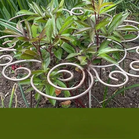 Massiv Eisen Pflanzenstütze Blumenförmig Garten Rankgitter Für Kletterpflanzen Außen Metall Pflanzenstab Pfingstrose Stützrahmen