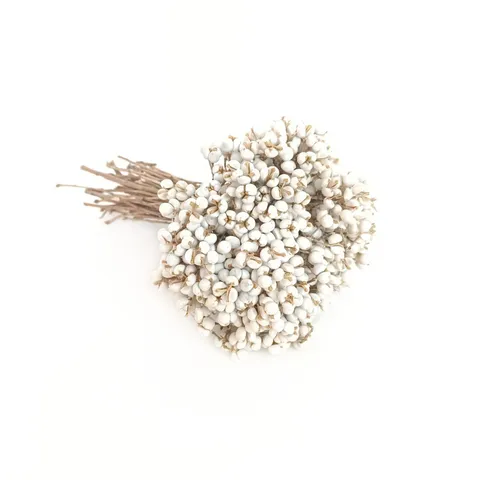 Estilo Nórdico Natural Secado Blanco Fruta de Árbol de Tebo Ramo Flores Secas DIY Aromaterapia Material de Decoración del Hogar