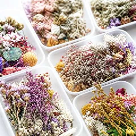 DIY Dried Flower Material Pack Mixed Flower Box Natural Botanical Flowers For Photo Frame Round Fan Handmade Bouquet Home Decor