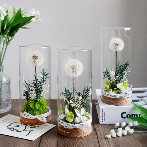 Diente De León Real Preservado Flor Seca Cubierta De Vidrio Adorno De Escritorio Regalo Romántico Botella De Vidrio Decoración Botánica