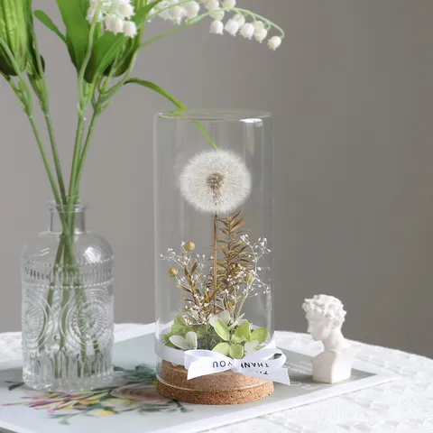 Flor Eterna de Diente de León Preservada Cubierta de Vidrio Luz Nocturna Kit Material DIY Hecho a Mano Decoración del Hogar Regalo