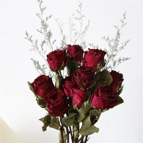 Natural Dried Rose Flower Bouquet Vintage Air Dried Floral Arrangement For Home Decor Photo Display Birthday Gift