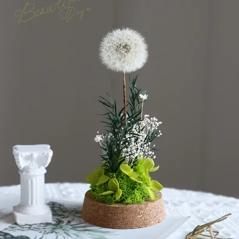 Flor Eterna de Diente de León Preservada Cubierta de Vidrio Luz Nocturna Kit Material DIY Hecho a Mano Decoración del Hogar Regalo