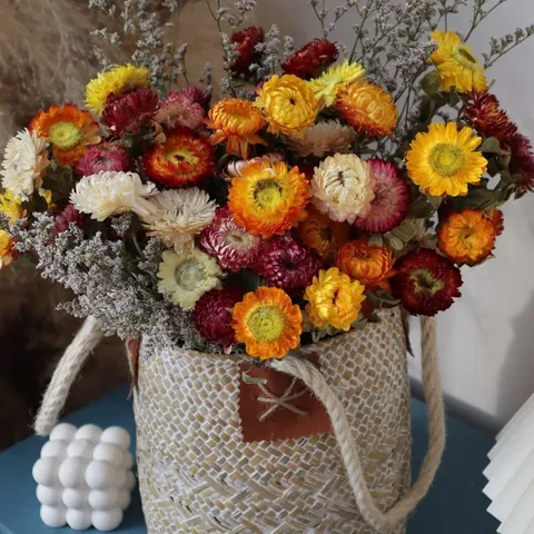 Natural Dried Flower Bouquet Colorful Strawflower Daisy Handmade Floral Arrangement Home Decor Photography Props