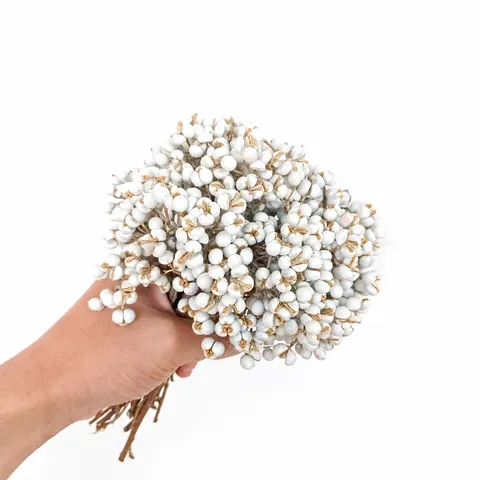 Estilo Nórdico Natural Secado Blanco Fruta de Árbol de Tebo Ramo Flores Secas DIY Aromaterapia Material de Decoración del Hogar