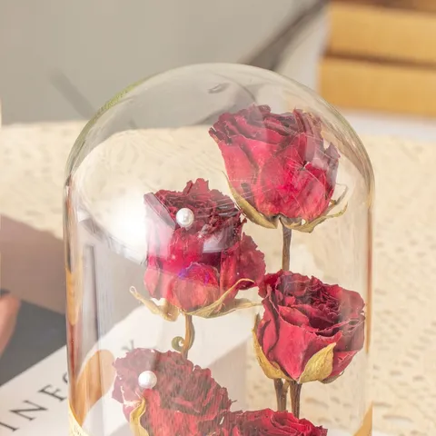 Preserved Flower Glass Dome Eternal Rose Dried Flower Night Light Gift For Birthday Mother's Day Home Decor Tabletop Ornament