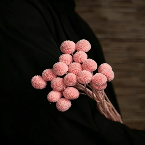 Craspedia Preserved Dried Flowers Bouquet Colorful Billy Balls Natural Floral Arrangement For Home Decor DIY Craft