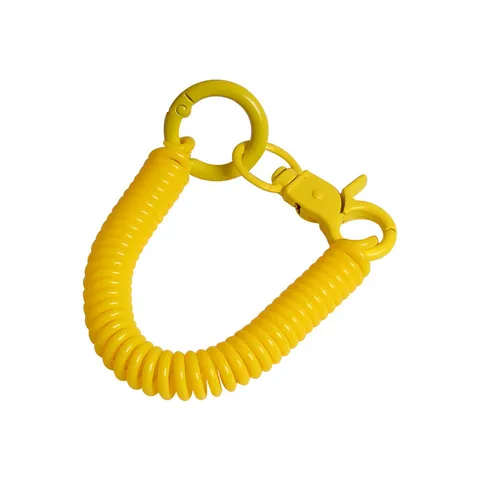 Portachiavi a Spirale Colorata Catena Chiavi Telescopica Elastica Cordino Antismarrimento Telefono Ornamento Sospeso per Borsa Scolastica Studente