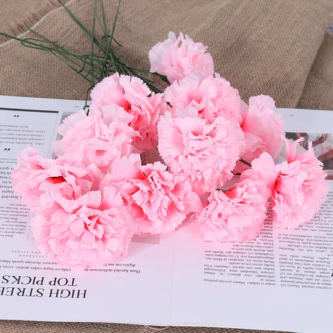 Kunstzijde Anjer Enkele Tak Nep Bloem Voor Moederdag Lerarendag Thuis Bruiloft Feest Decoratie