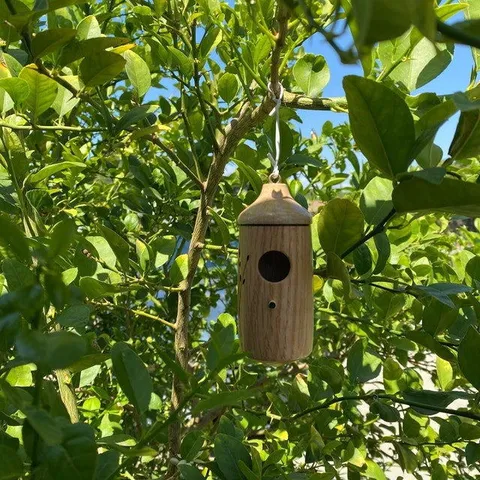 Wooden Hummingbird House Hanging Bird Nest Natural Beech Wood Acorn Shaped Bird Feeder For Outdoor Garden Yard Tree Decoration