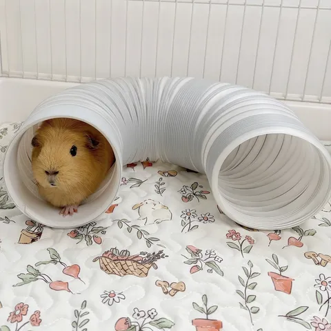 Telescopic Small Pet Play Tunnel Toy For Guinea Pigs Rabbits Ferrets Retractable White Plastic Wire Tube Toy For Small Animals