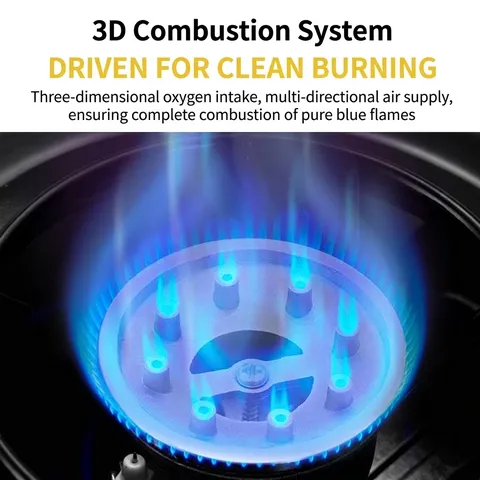 Portable Camping Gas Stove Alloy Windproof Outdoor Burner For Picnic Home Hot Pot 2.1KW With Carrying Case Black