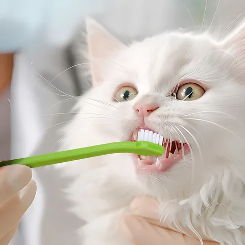 Pet Toothbrush Small Cat And Dog Oral Cleaning Care Soft Bristles Plastic Handle Portable Single Pack Pet Dental Hygiene Tool