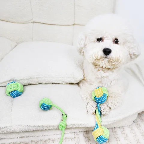 Dog Chew Toy Cotton Rope Bite Resistant Interactive Teeth Cleaning Pet Toy Durable Knotted Ball Slipper