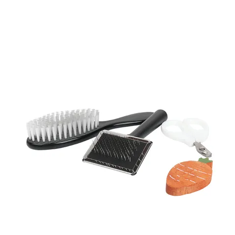 Kit Toelettatura Animali Cane Gatto Set Strumenti Toelettatura Spazzola Cardatore Spazzola Setole Tagliaunghie E Giocattolo Carota