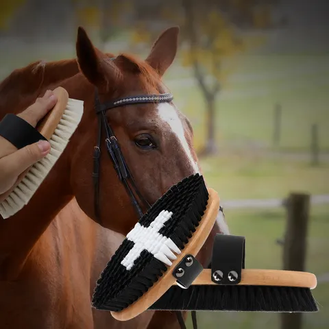 Wooden Handle Horse Brush Pet Grooming Brush Soft Wool Horse Hair Coconut Palm Plastic Bristles Cleaning Tool