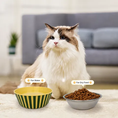 Pet Dog Cat Anti Slip Food Water Bowl Plastic Striped Feeding Bowl With Stainless Steel Bowl Set Pet Supplies