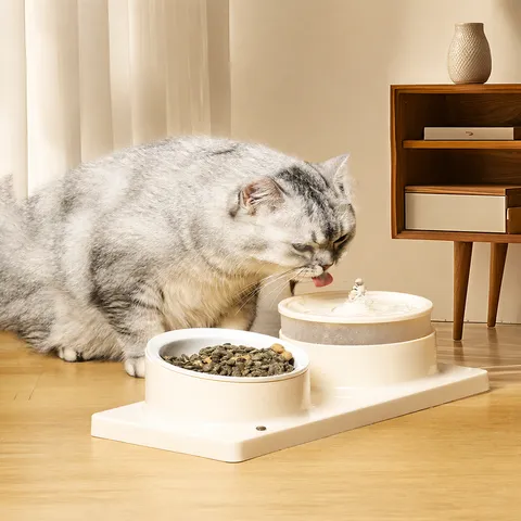 Pet Water And Food Dispenser Automatic Water Fountain Cat Bowl Dog Food Bowl Neck Protecting Pet Feeding Station