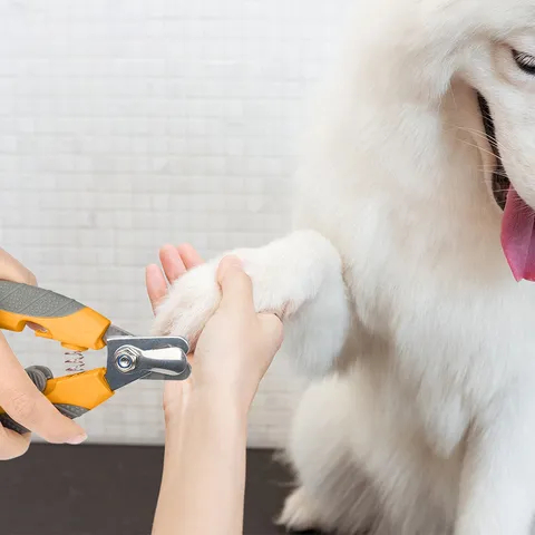 Professional Pet Nail Clipper Stainless Steel Dog Cat Claw Grooming Tool Ergonomic Non-Slip Handle Small Large Size