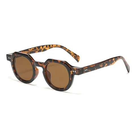 Vintage Geometric Polygon Small Frame Sunglasses For Women Men Plastic Rim Metal Pin Detail Anti Blue Light Eyeglasses UV400 Sun Protection Holiday Outdoor Travel Casual Daily Fashion Eyewear Glasses