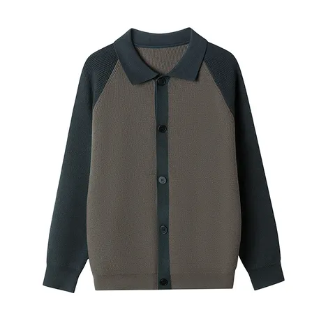 Cardigan Tricoté à Col Polo Bloc de Couleur Décontracté pour Hommes Bouton Revers Manches Longues Mode Vêtements en Tricot Vêtement d'Extérieur