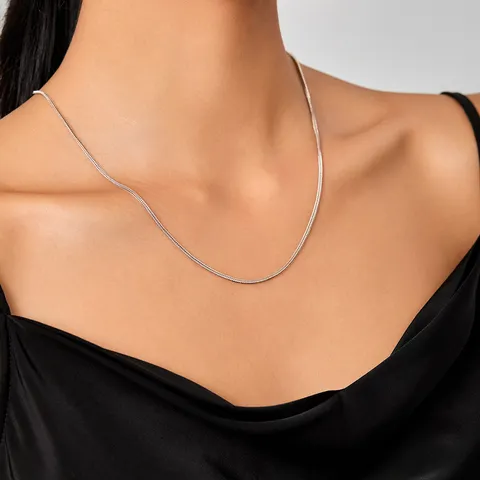 Minimalistische Titaniumstaal Vossenstaartketting Halsketting Voor Vrouwen Eenvoudig Veelzijdig Eenvoudige Sleutelbeinketting Mode Sieraden Cadeau