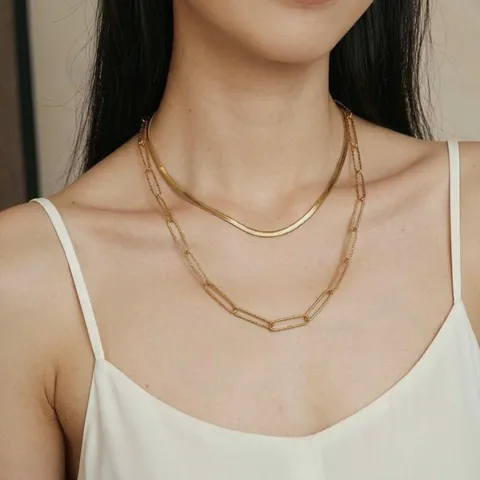 Collana a Doppio Strato in Acciaio Inossidabile Retrò Minimalista Catena a Spina di Pesce e Graffetta Gioielli di Moda