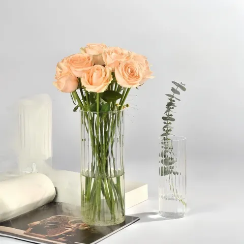 Vaso in Vetro Borosilicato Trasparente Striscia Verticale Bottiglia per Piante Idroponiche Cilindrica Decorazione per la Casa Minimalista