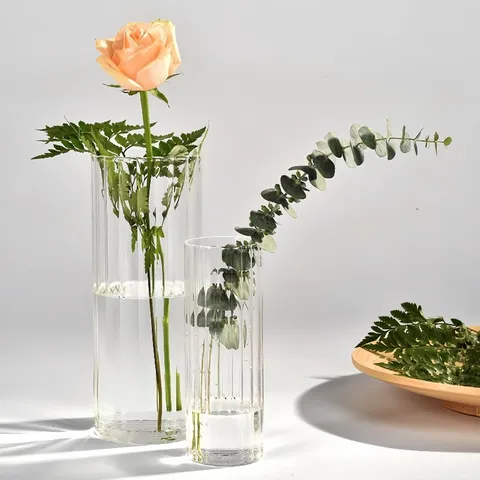 Vaso in Vetro Borosilicato Trasparente Striscia Verticale Bottiglia per Piante Idroponiche Cilindrica Decorazione per la Casa Minimalista