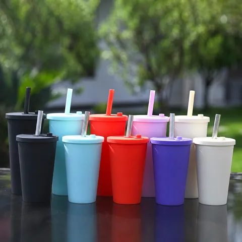 480ml Double Layer Plastic Straw Cup Minimalist Solid Color Cold Drink Cup With Lid And Metal Straw Portable Water Bottle