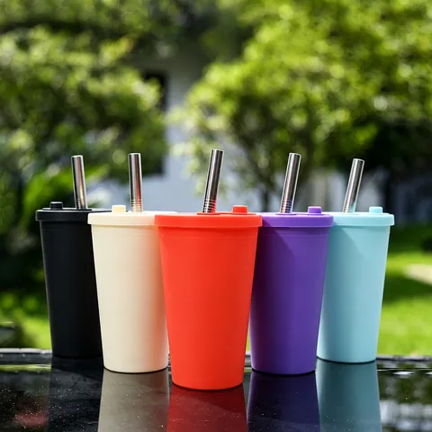 480ml Double Layer Plastic Straw Cup Minimalist Solid Color Cold Drink Cup With Lid And Metal Straw Portable Water Bottle