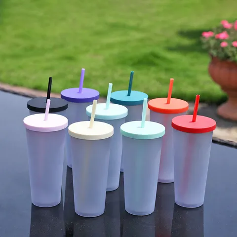 Portable Plastic Straw Cup Double Layer Frosted Tumbler Summer Cold Drink Water Cup With Lid And Straw