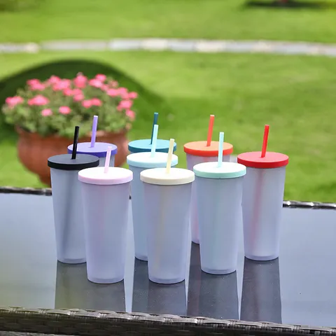 Portable Plastic Straw Cup Double Layer Frosted Tumbler Summer Cold Drink Water Cup With Lid And Straw