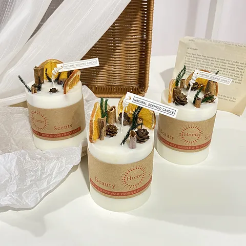Creative Aromatherapy Scented Candle Natural Soybean Wax With Botanical Dried Fruit Decoration Home Bedroom Living Room Decor