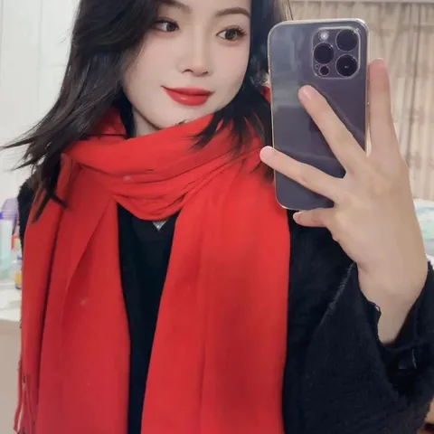 Winter Verdickter Quasten Schal Einfarbig Imitat Kaschmir Warm Schal Für Damen Herren Täglich Lässige Mode