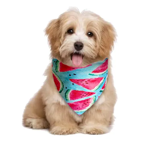Pet Triangle Scarf Satin Fruit Printed Avocado Watermelon Pattern Dog Cat Bandana Bib Saliva Towel Summer Outdoor Accessories
