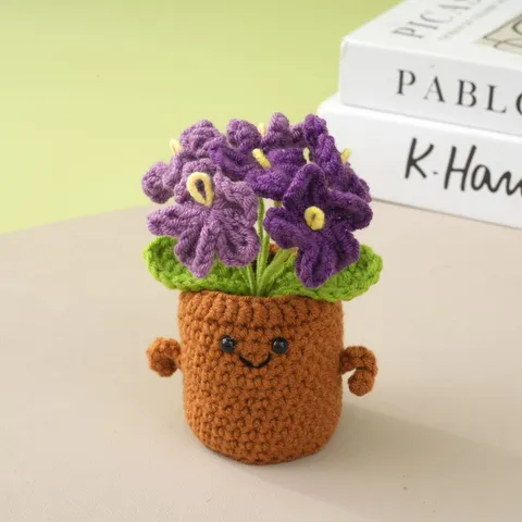 Plante en Pot Oublie-Moi en Laine Tricotée à Main Fleur Crochet Visage Souriant Ornement de Bureau Cadeau de Graduation