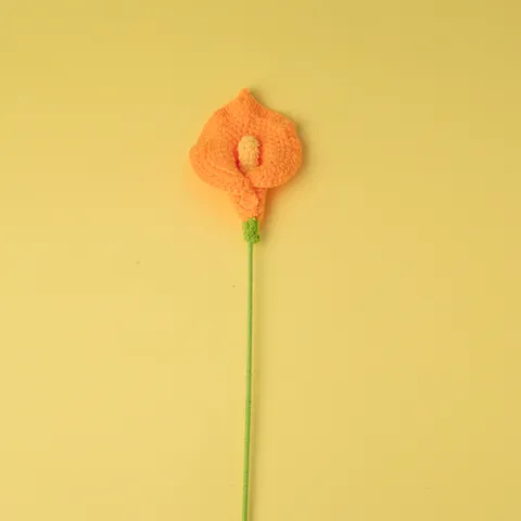 Branche de Fleurs de Calla Tissée à Main en Fil de Laine Crochet Cadeau de la Journée des Professeurs Décoration Florale