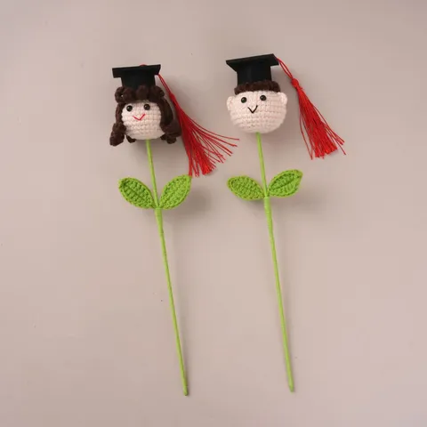 Handmade Knitted Graduation Doll Doctor Hat Plush Toy Cartoon Figurine Graduation Season Gift Home Decor