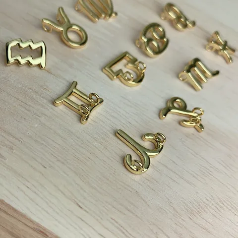 Rame Placcato Oro 12 Segni Zodiacali Piccoli Ciondoli Ciondoli per Accessori per la Creazione di Gioielli Fai da Te