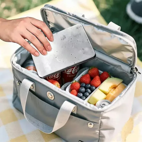 Stile Giapponese 304 Acciaio Inossidabile Piastra di Ghiaccio Riutilizzabile Conservazione Freddo per Contenitore Pranzo Borsa Termica