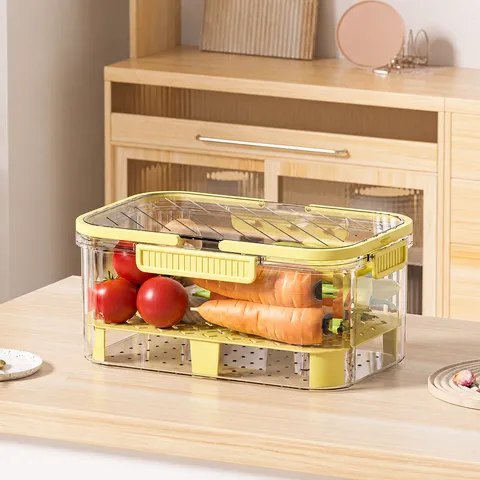 Double Layer Portable Plastic Lunch Box Transparent Fresh Keeping Container With Ice Pack For Outdoor Picnic Food Storage