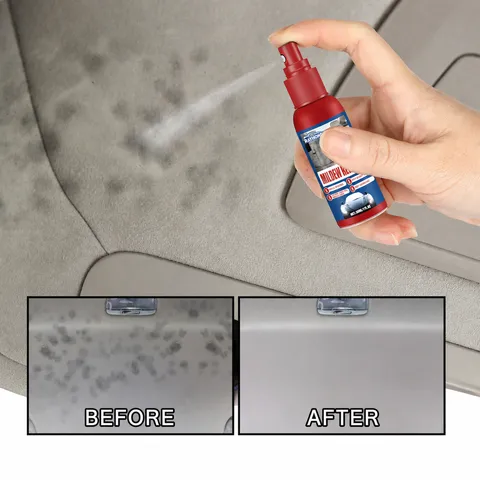 RAYHONG Car Mold Remover Spray For Car Interior Headliner Seat Floor Mat Deep Cleaning And Maintenance Multi Purpose