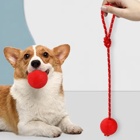 Rubber Dog Toy Ball Solid Elastic Interactive Chewing Toy Pet Training Ball Teeth Cleaning Ball For Dogs
