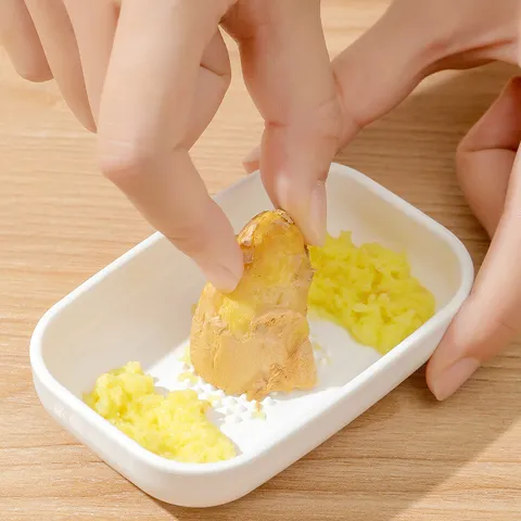 Manual Garlic Grater Plastic Kitchen Vegetable Food Supplement Masher White Household Ginger Grinding Tool
