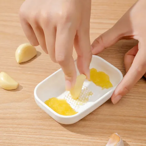 Manual Garlic Grater Plastic Kitchen Vegetable Food Supplement Masher White Household Ginger Grinding Tool